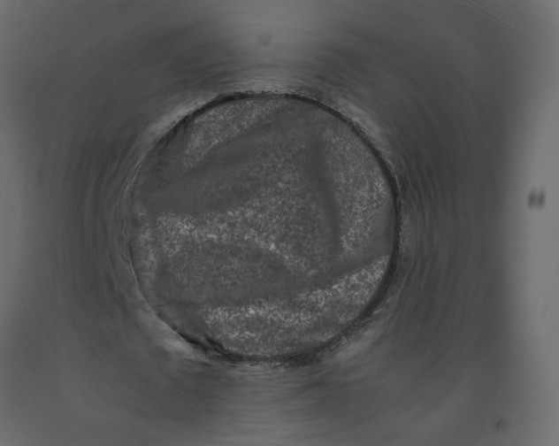 X0000092230673200710051219