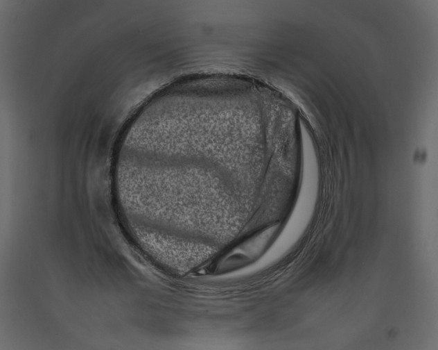 X0000092230677200710051219