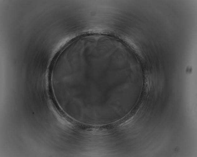 X0000092230678200710051219