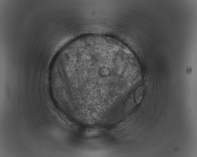 X0000092230679200710051219