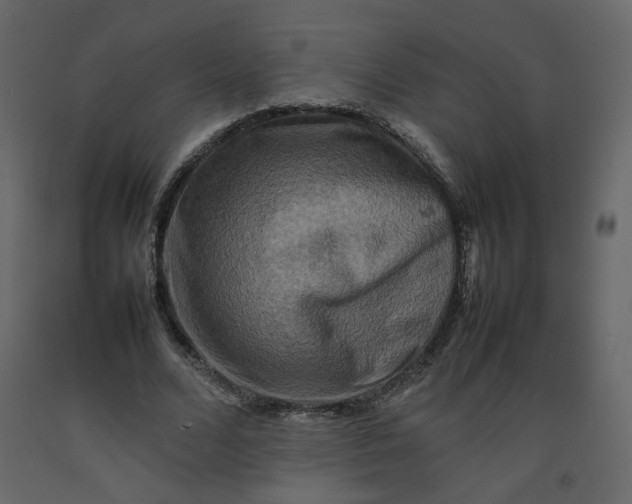 X0000092230680200710051219