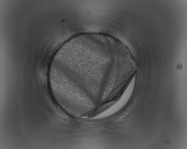 X0000092230681200710051219