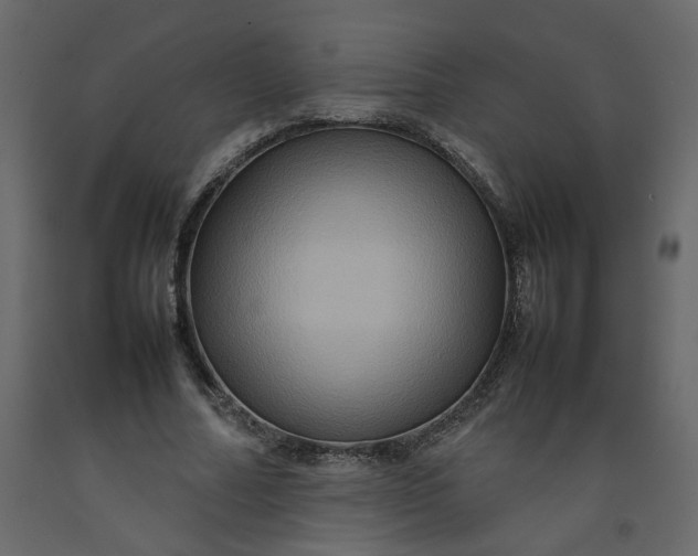 X0000092230682200710051219