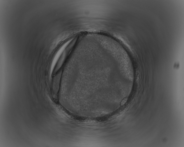 X0000092230685200710051219