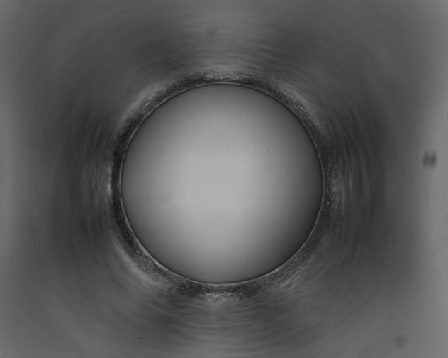 X0000092230686200710051219