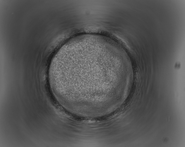 X0000092230687200710051219