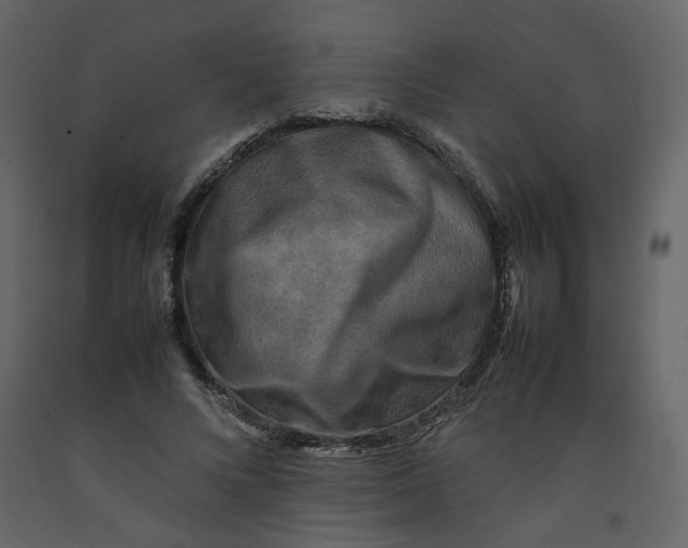 X0000092230688200710051219