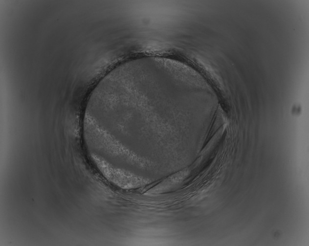 X0000092230689200710051219