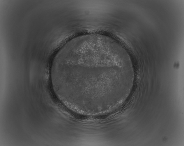 X0000092230691200710051219