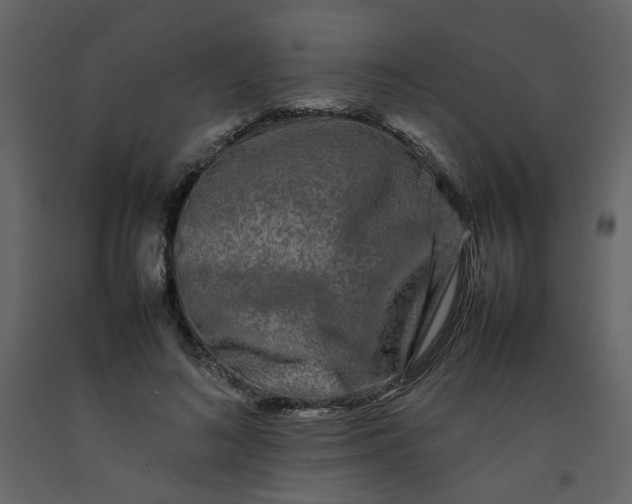 X0000092230692200710051219