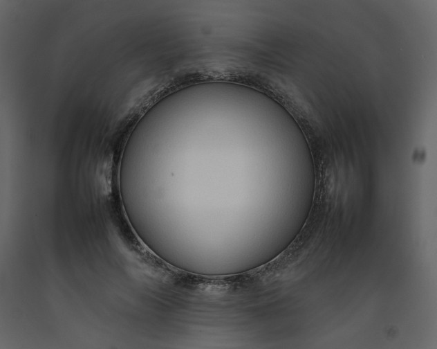 X0000092230694200710051219