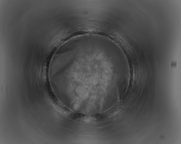 X0000092230696200710051219