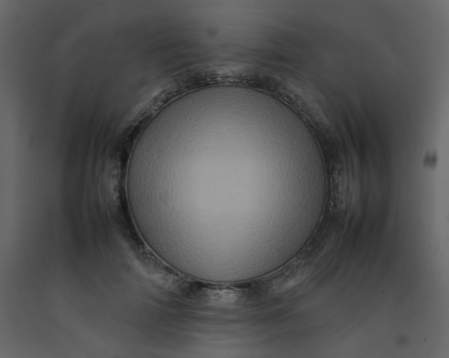 X0000092230698200710051219