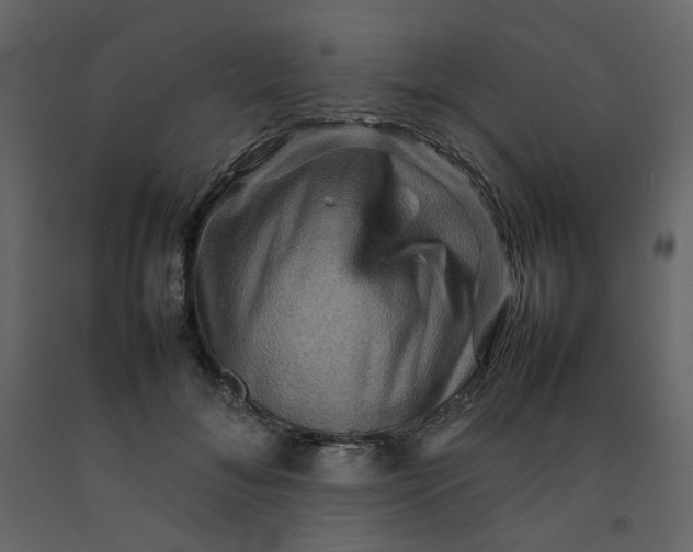 X0000092230700200710051219