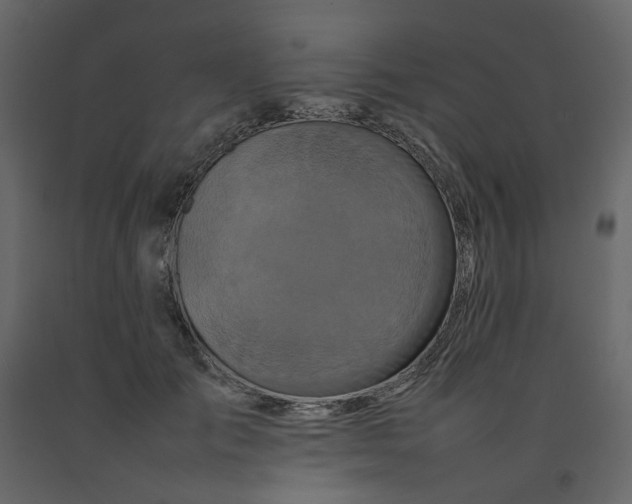 X0000092230701200710051219