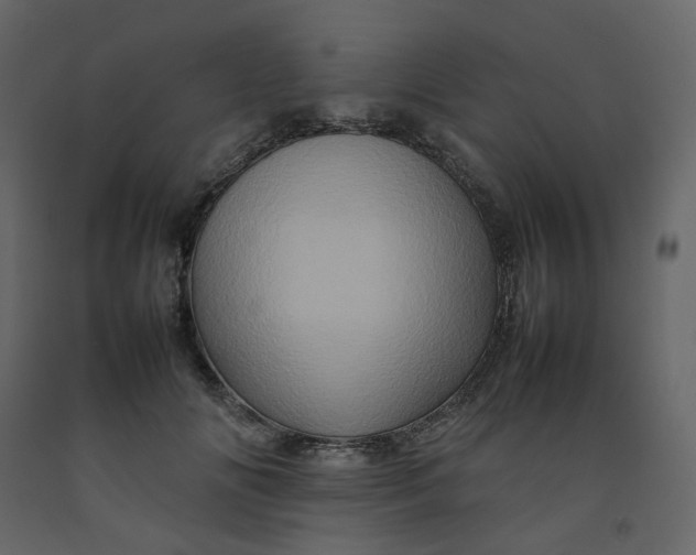 X0000092230702200710051219