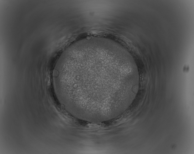 X0000092230703200710051219