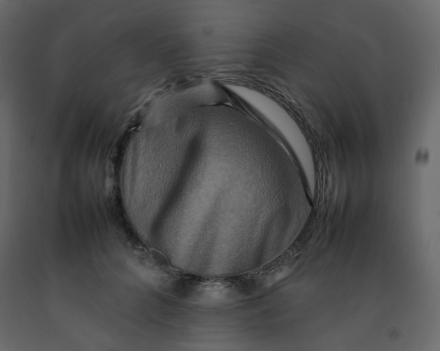 X0000092230704200710051219