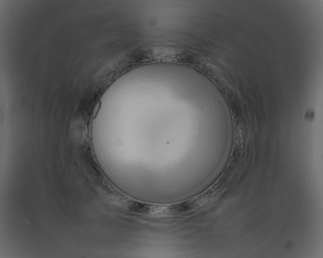 X0000092230705200710051219