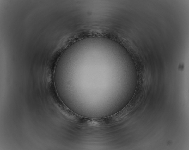 X0000092230706200710051219