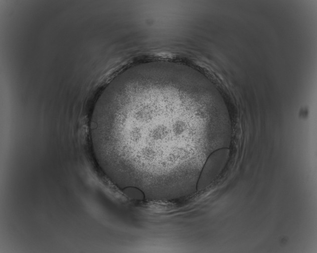 X0000092230707200710051219