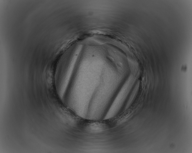 X0000092230708200710051219