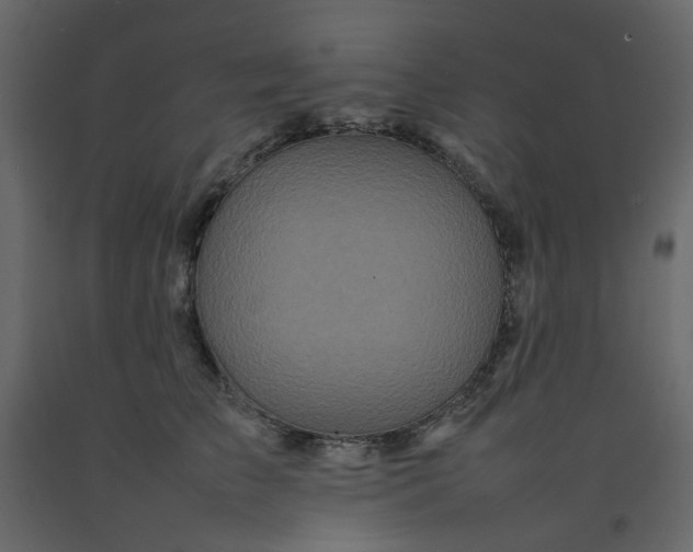 X0000092230709200710051219