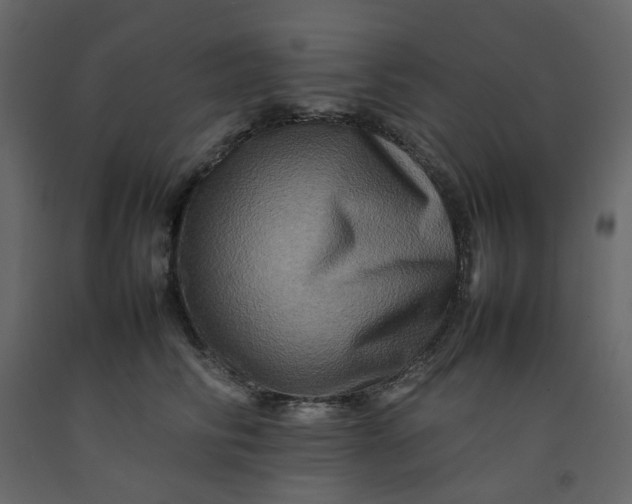 X0000092230710200710051219