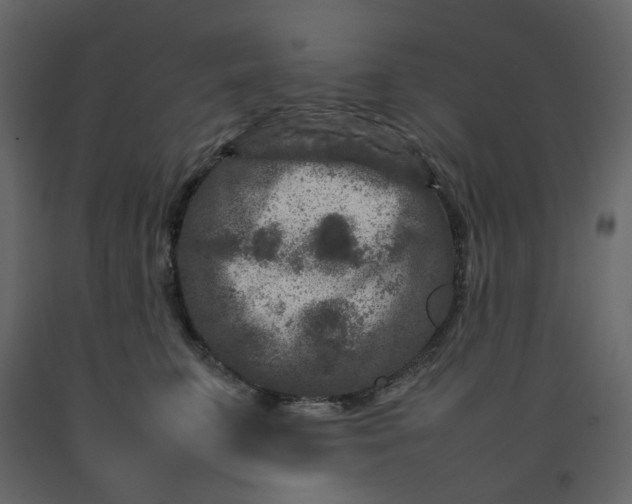 X0000092230711200710051219