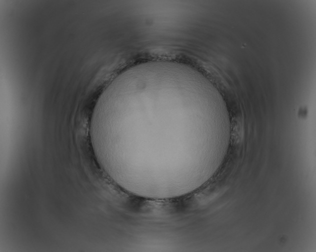 X0000092230713200710051219