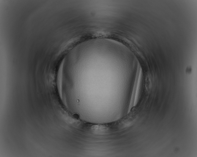 X0000092230714200710051219