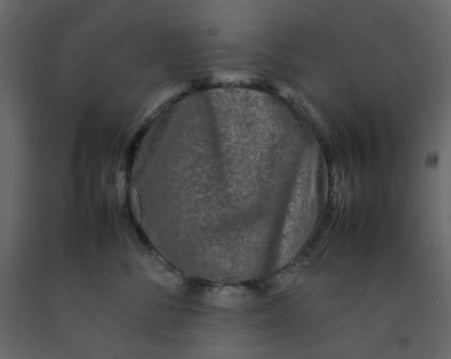 X0000092230716200710051219