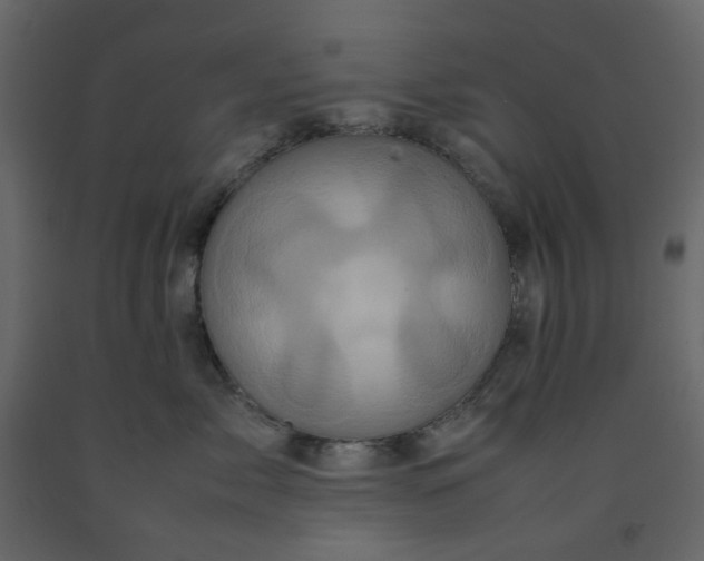 X0000092230717200710051219