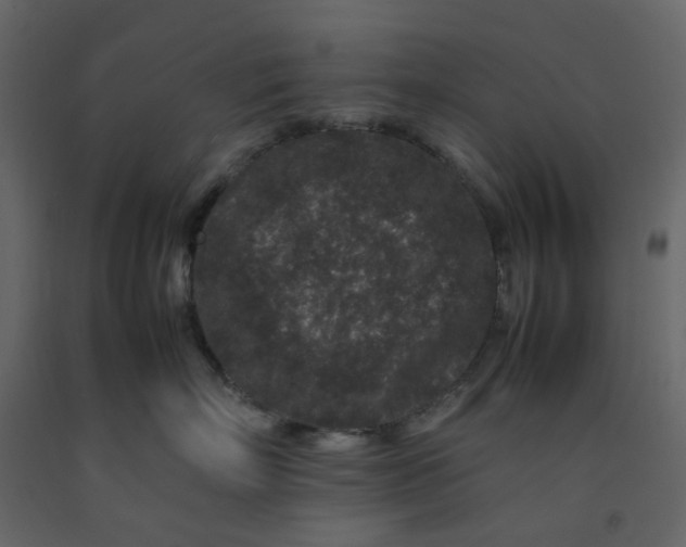 X0000092230718200710051219