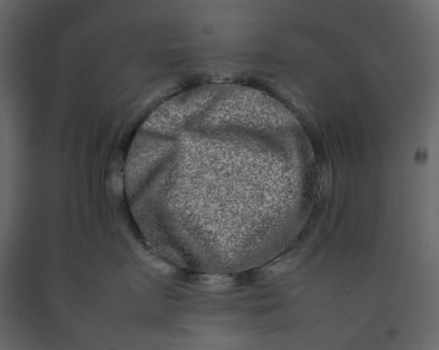 X0000092230719200710051219