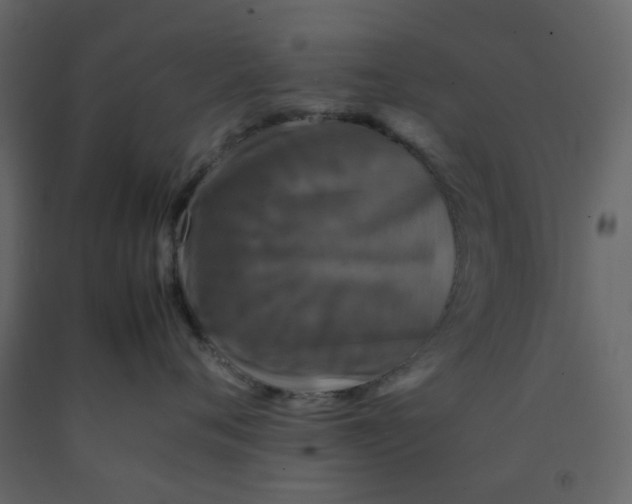 X0000092230720200710051219