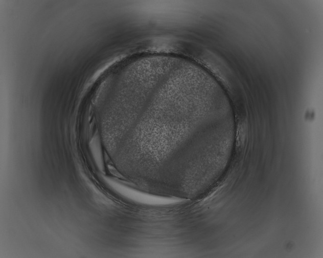 X0000092230722200710051218