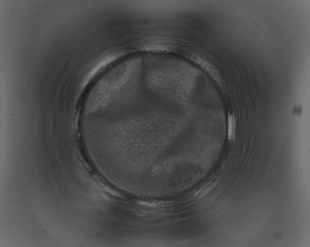 X0000092230723200710051218