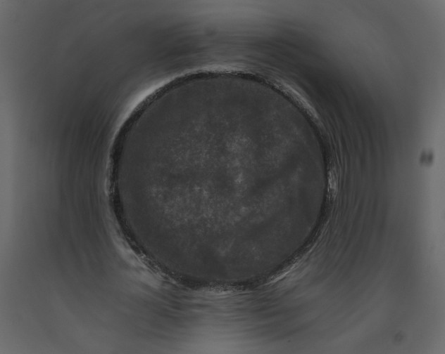 X0000092230724200710051218