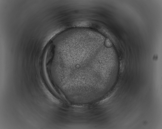 X0000092230725200710051218