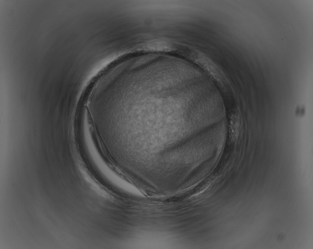 X0000092230726200710051218