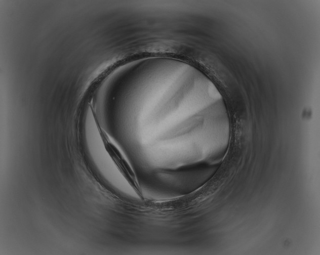 X0000092230727200710051218