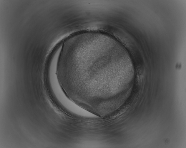 X0000092230728200710051218