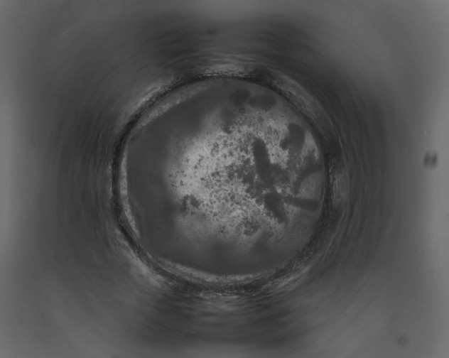 X0000092230729200710051218