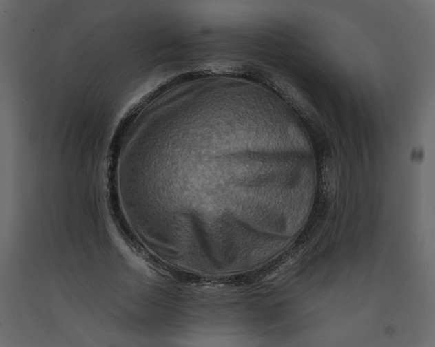 X0000092230730200710051218