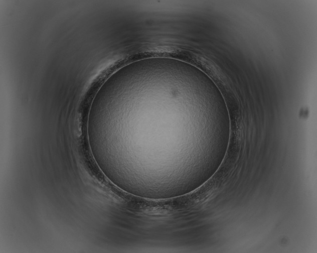 X0000092230731200710051218