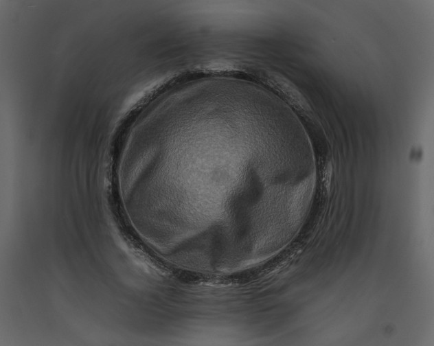 X0000092230732200710051218