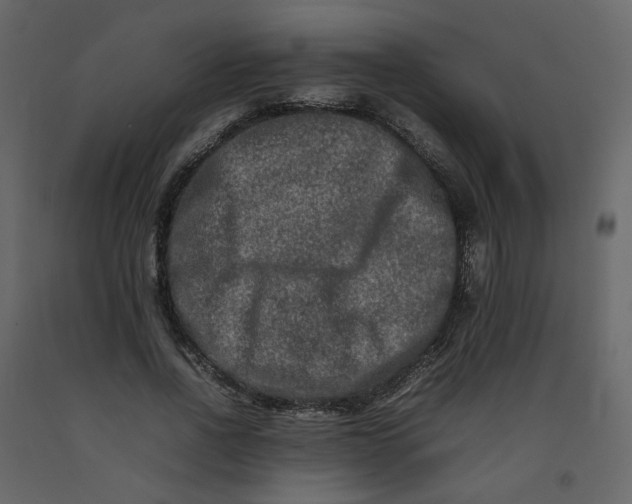 X0000092230734200710051218