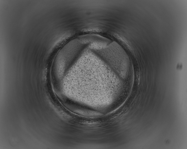 X0000092230735200710051218