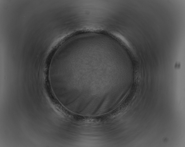 X0000092230736200710051218